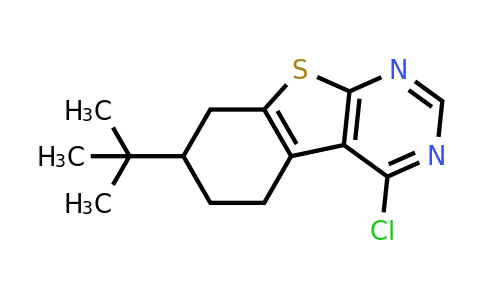 381200-95-9 | 7-tert-Butyl-4-chloro-5,6,7,8-tetrahydro-benzo[4,5]thieno[2,3-d]pyrimidine