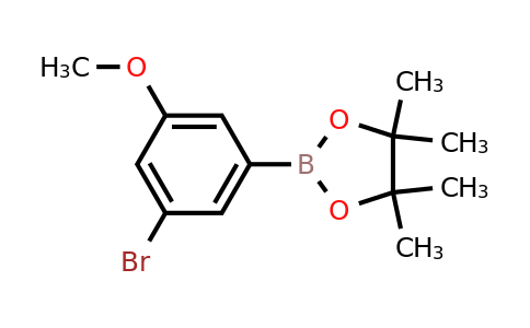 2-(3-Bromo-5-methoxyphenyl)-4,4,5,5-tetramethyl-1,3,2-dioxaborolane