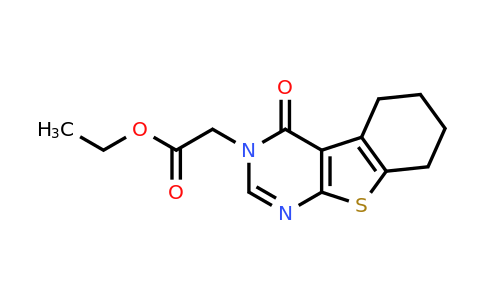 40277-49-4 | Ethyl 2-(4-oxo-5,6,7,8-tetrahydrobenzo[4,5]thieno[2,3-d]pyrimidin-3(4H)-yl)acetate