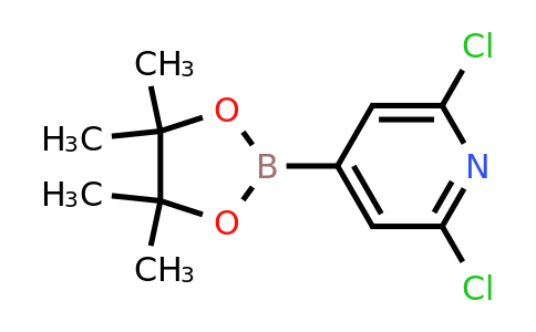 408492-27-3 | 2,6-Dichloro-4-(4,4,5,5-tetramethyl-1,3,2-dioxaborolan-2-yl)pyridine