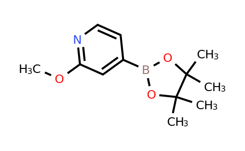 408502-23-8 | 2-Methoxy-4-(4,4,5,5-tetramethyl-1,3,2-dioxaborolan-2-yl)pyridine