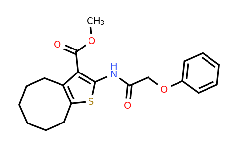420094-94-6 | Methyl 2-(2-phenoxyacetamido)-4,5,6,7,8,9-hexahydrocycloocta[b]thiophene-3-carboxylate