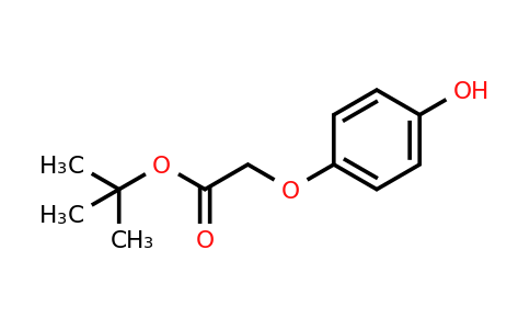 42806-92-8 | Tert-butyl 2-(4-hydroxyphenoxy)acetate