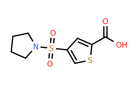 446029-57-8 | 4-(Pyrrolidin-1-ylsulfonyl)thiophene-2-carboxylic acid
