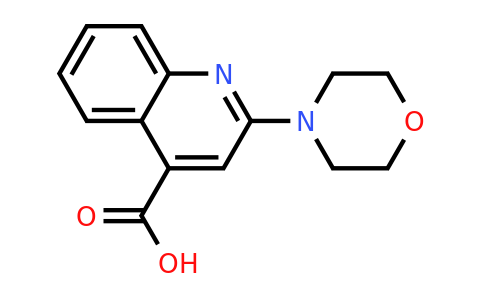 449764-66-3 | 2-(Morpholin-4-yl)quinoline-4-carboxylic acid