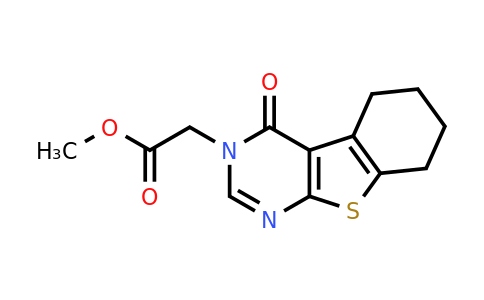450376-42-8 | Methyl 2-(4-oxo-5,6,7,8-tetrahydrobenzo[4,5]thieno[2,3-d]pyrimidin-3(4h)-yl)acetate