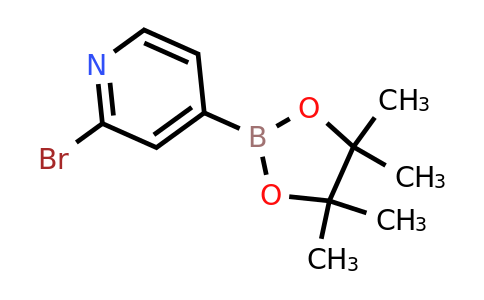 458532-82-6 | 2-Bromo-4-(4,4,5,5-tetramethyl-1,3,2-dioxaborolan-2-yl)pyridine