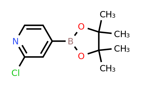 458532-84-8 | 2-Chloro-4-(4,4,5,5-tetramethyl-1,3,2-dioxaborolan-2-yl)pyridine