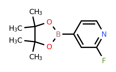 458532-86-0 | 2-Fluoro-4-(4,4,5,5-tetramethyl-1,3,2-dioxaborolan-2-yl)pyridine
