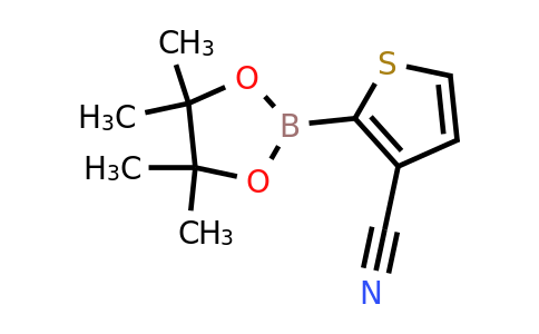 463336-26-7 | 2-(4,4,5,5-Tetramethyl-1,3,2-dioxaborolan-2-yl)thiophene-3-carbonitrile