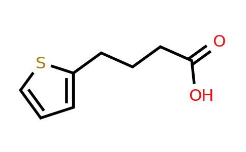 4653-11-6 | 2-Thiophenebutanoic acid