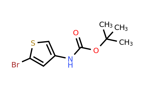 494833-75-9 | 2-Bromo-4-(N-tert-butyloxycarbonylamino)thiophene