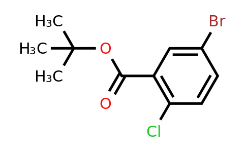 503555-23-5 | tert-Butyl 5-bromo-2-chlorobenzoate