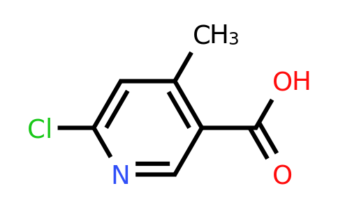 503555-50-8 | 6-Chloro-4-methyl-3-pyridinecarboxylic acid
