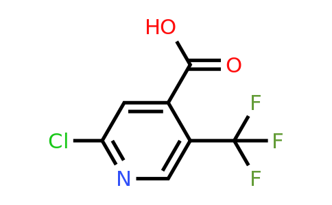 505084-58-2 | 2-Chloro-5-(trifluoromethyl)pyridine-4-carboxylic acid