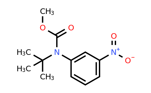 528882-15-7 | tert-Butyl methyl(3-nitrophenyl)carbamate