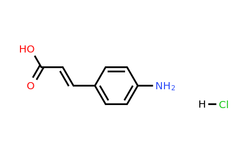 54057-95-3 | p-Aminocinnamic acid (hydrochloride)