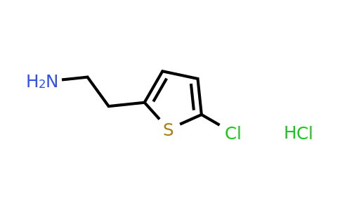 548772-42-5 | 2-(5-Chloro-thiophen-2-yl)-ethylamine hydrochloride