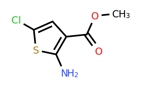 55503-06-5 | Methyl 2-amino-5-chlorothiophene-3-carboxylate
