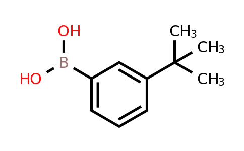 560132-24-3 | (3-(tert-Butyl)phenyl)boronic acid