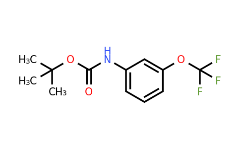 561304-42-5 | Tert-butyl n-[3-(trifluoromethoxy)phenyl]carbamate