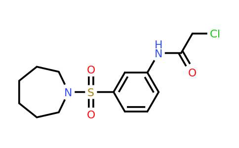 568544-02-5 | N-[3-(azepane-1-sulfonyl)phenyl]-2-chloroacetamide