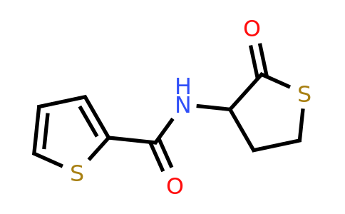 57752-71-3 | N-(2-oxotetrahydrothiophen-3-yl)thiophene-2-carboxamide
