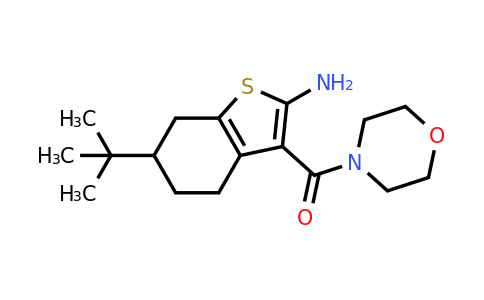 590351-08-9 | (2-Amino-6-(tert-butyl)-4,5,6,7-tetrahydrobenzo[b]thiophen-3-yl)(morpholino)methanone