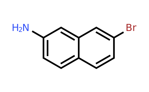 590417-30-4 | 7-Bromonaphthalen-2-amine