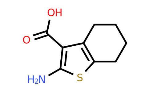 5936-58-3 | 2-Amino-4,5,6,7-tetrahydrobenzo[b]thiophene-3-carboxylic acid