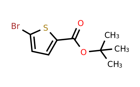 62224-20-8 | tert-Butyl 5-bromothiophene-2-carboxylate