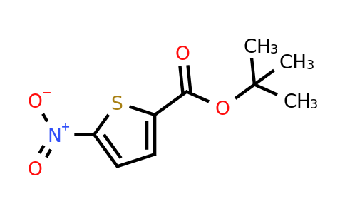 62224-28-6 | tert-Butyl 5-nitrothiophene-2-carboxylate