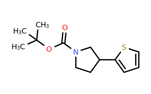 630121-93-6 | tert-Butyl 3-thiophen-2-ylpyrrolidine-1-carboxylate