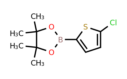 635305-24-7 | 5-Chloro-2-thiopheneboronic Acid Pinacol Ester