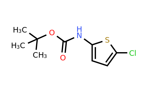 63806-71-3 | tert-Butyl (5-chlorothiophen-2-yl)carbamate