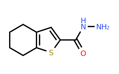65361-27-5 | 4,5,6,7-Tetrahydro-1-benzothiophene-2-carbohydrazide
