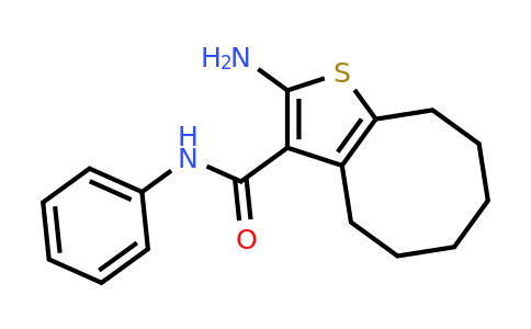 667412-96-6 | 2-Amino-N-phenyl-4,5,6,7,8,9-hexahydrocycloocta[b]thiophene-3-carboxamide