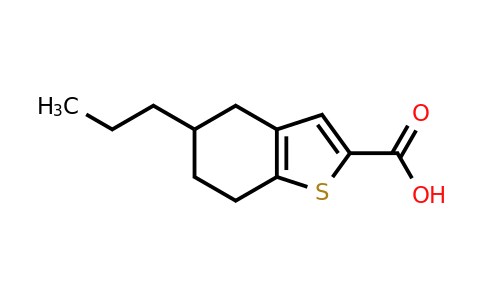 667436-13-7 | 5-Propyl-4,5,6,7-tetrahydrobenzo[b]thiophene-2-carboxylic acid