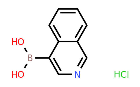 677702-23-7 | Isoquinoline-4-boronic acid hydrochloride