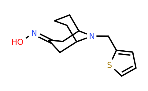 685120-10-9 | n-{9-[(thiophen-2-yl)methyl]-9-azabicyclo[3.3.1]nonan-3-ylidene}hydroxylamine