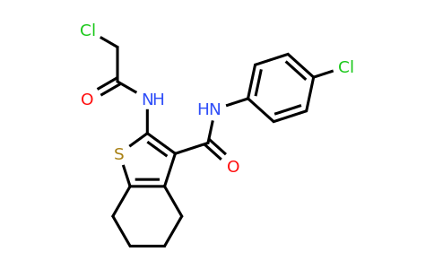 721892-21-3 | 2-(2-Chloroacetamido)-N-(4-chlorophenyl)-4,5,6,7-tetrahydro-1-benzothiophene-3-carboxamide
