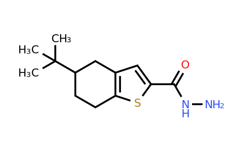 749906-98-7 | 5-Tert-butyl-4,5,6,7-tetrahydro-1-benzothiophene-2-carbohydrazide