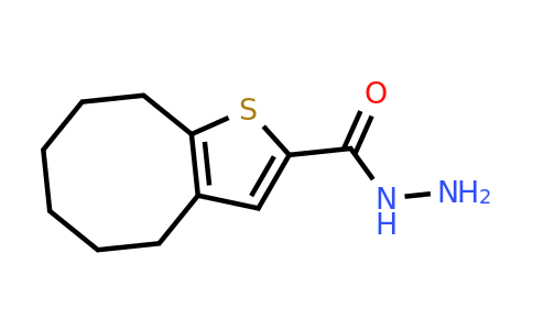 750599-06-5 | 4h,5h,6h,7h,8h,9h-Cycloocta[b]thiophene-2-carbohydrazide