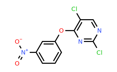 76661-24-0 | 2,5-Dichloro-4-(3-nitrophenoxy)pyrimidine