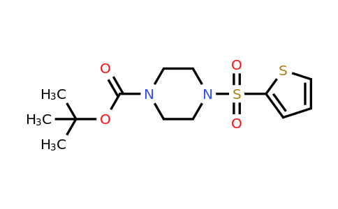 774575-85-8 | 1-Boc-4-(thiophene-2-sulfonyl)piperazine