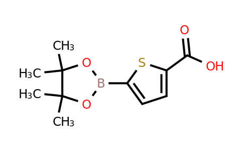 779335-05-6 | 5-(4,4,5,5-Tetramethyl-1,3,2-dioxaborolan-2-yl)thiophene-2-carboxylic acid