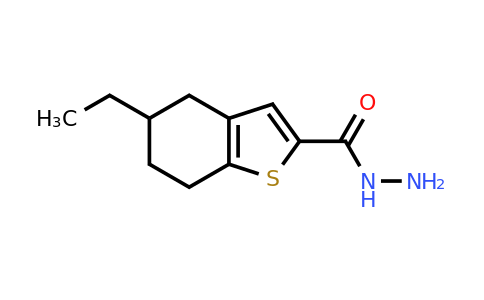 790263-70-6 | 5-Ethyl-4,5,6,7-tetrahydrobenzo[b]thiophene-2-carbohydrazide