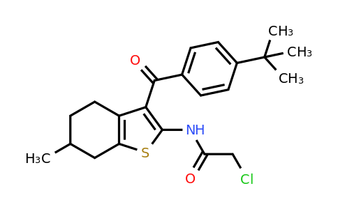 792954-17-7 | n-[3-(4-tert-Butylbenzoyl)-6-methyl-4,5,6,7-tetrahydro-1-benzothiophen-2-yl]-2-chloroacetamide