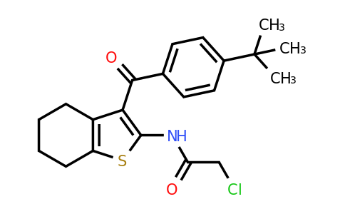 792954-19-9 | n-[3-(4-tert-Butylbenzoyl)-4,5,6,7-tetrahydro-1-benzothiophen-2-yl]-2-chloroacetamide