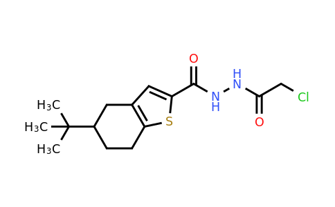 794582-32-4 | 5-tert-Butyl-n'-(2-chloroacetyl)-4,5,6,7-tetrahydro-1-benzothiophene-2-carbohydrazide